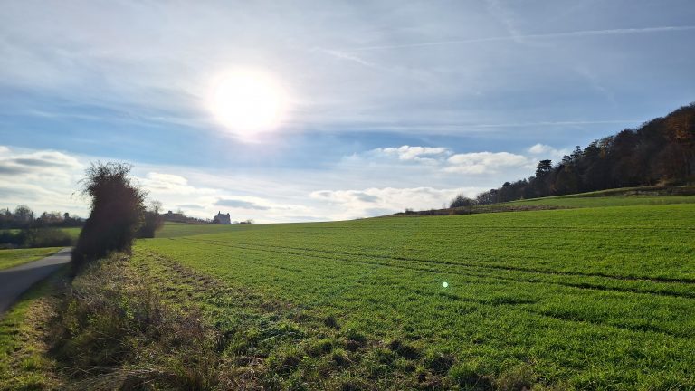 Einladung zur monatlichen Wanderung rund um den Rauschenberg
