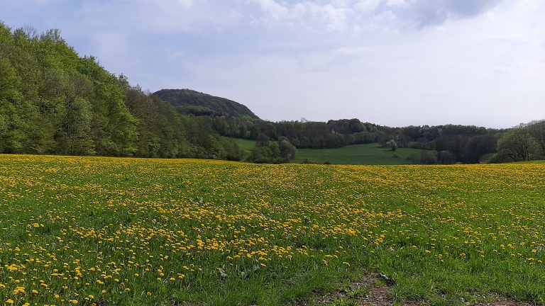 Wanderung wird nachgeholt – Gemeinsam zur Milseburgstube