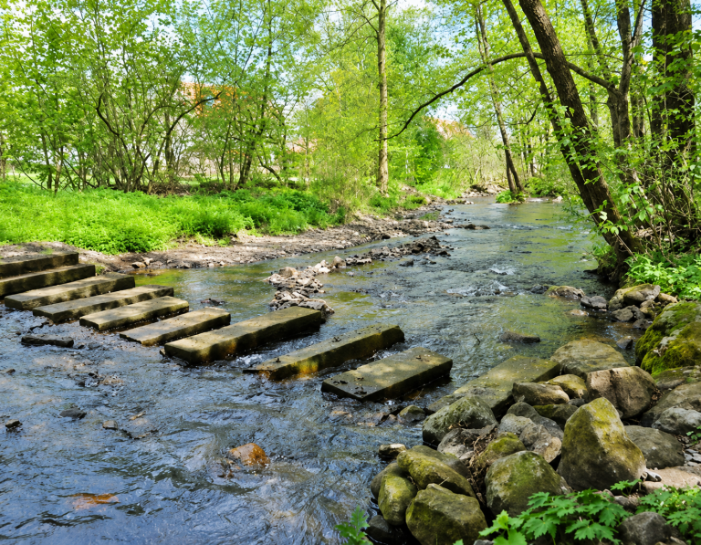 Wanderung „Im Schwarzbachtal / Hoherodskopf“ – Gemeinsam unterwegs in schöner Natur