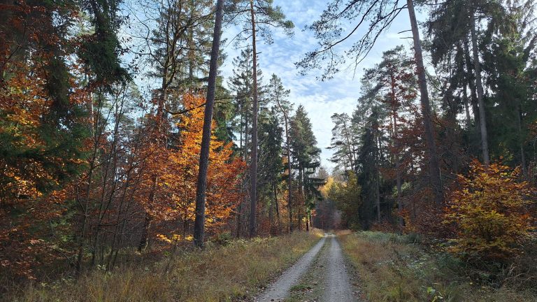 🥾 Raus aus dem Alltag – rein in die Natur rund um Dietershan! 🌳