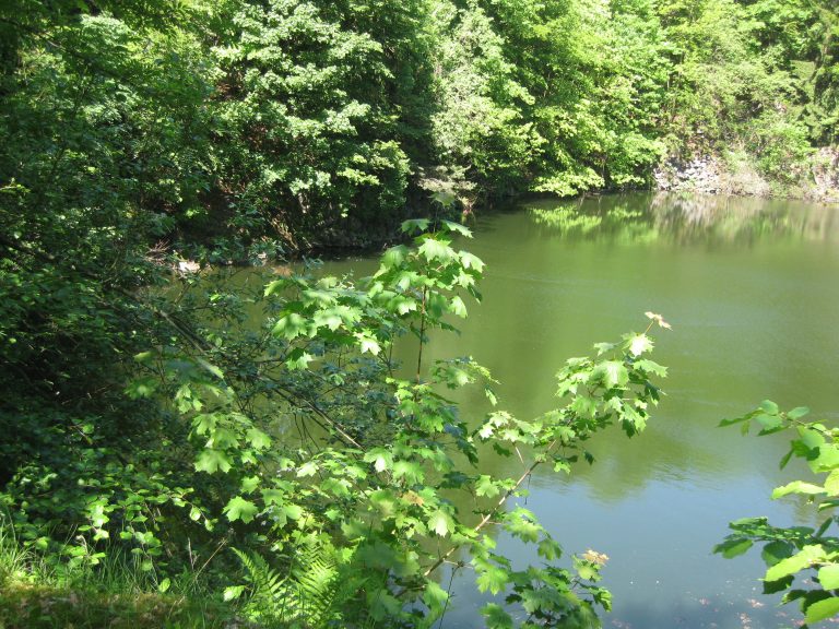 🥾🌿 Rundwanderung am Ulmenstein 🌿🥾